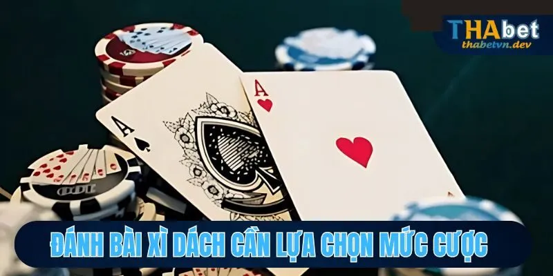 Đánh bài Xì dách cần chọn mức cược nhỏ