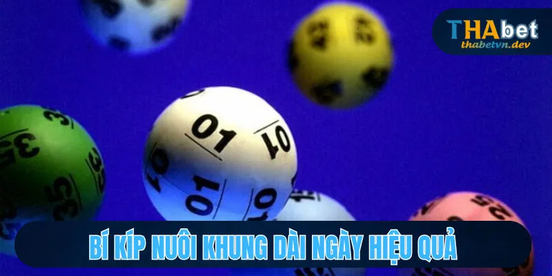 Bí kíp chốt khung dài ngày